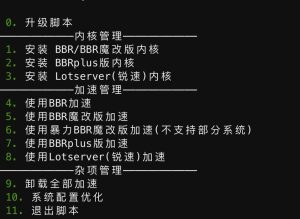 BBR原版/魔改/plus/锐速四合一脚本Linux加速脚本网站搭建-开源项目-网站技术分享-服务器评测资源网